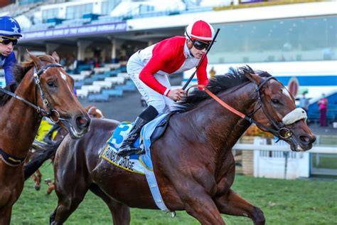 Thoroughly enjoyed the experience and would definitely go again. Vodacom Durban July 2021 Horse Profile - Rainbow Bridge ...