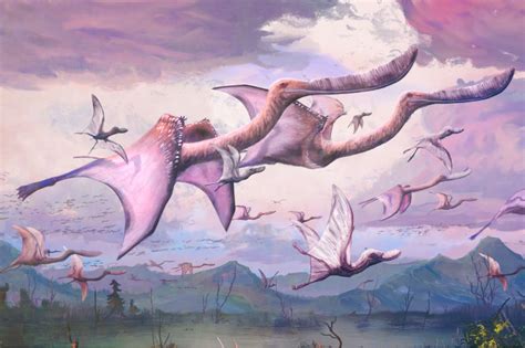 July Pterosaurs Flight News And Features University Of Bristol