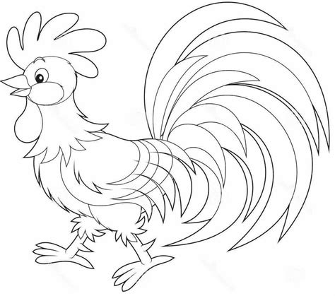 49 Gambar Ayam Kartun Untuk Mewarnai