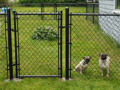 Small Yard Fence For Dogs Garden Design