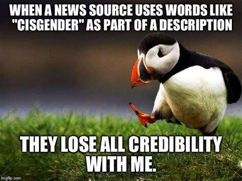 Unpopular Opinion Puffin Meme Imgflip