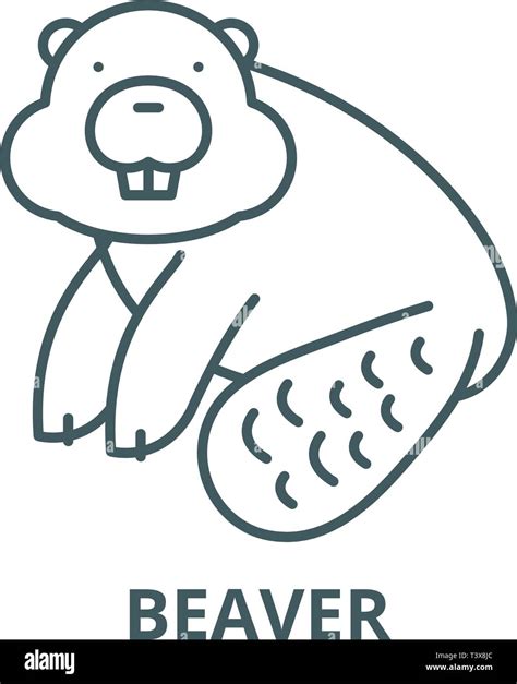 Beaver Line Icon Vector Beaver Outline Sign Concept Symbol Flat
