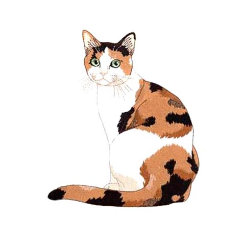 See more ideas about cat art, cat drawing, calico cat. Cats clipart calico, Cats calico Transparent FREE for ...