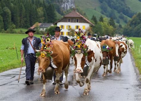 Charmey Freiburg Charmey Switzerland Travel Swiss Alps