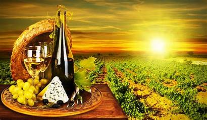 Wine Wallpapers Screensavers Cheese Grapes Bottles Glasses