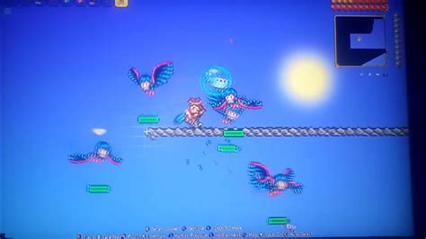 Lets Play Terraria Part 98 All These Harpies Are A Part Of My Murderous Harem Youtube
