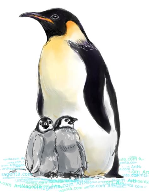 Birds Emperor Penguin