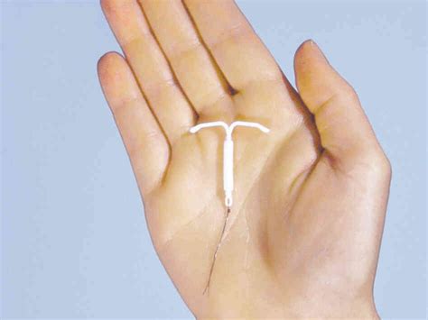 Iud Or Intrauterine Devices Sepmedical
