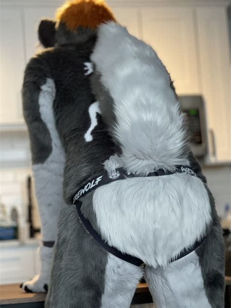 Howl N Whine On Twitter Trying Out The New Jockstrap