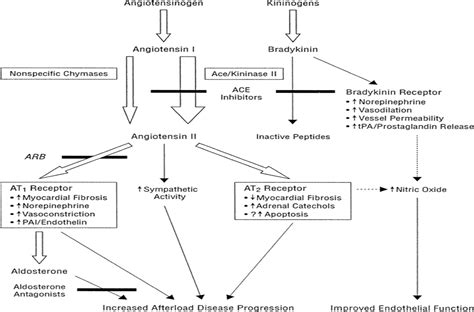 Angiotensin II Receptor Blockers In Congestive Heart Failure Cardiology In Review