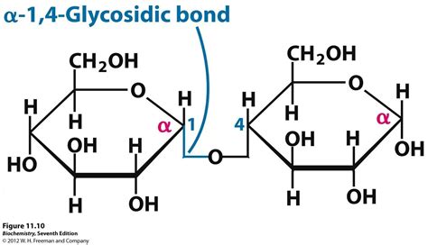 Glycosidic Bond Biochemistry Chemistry Applied Nutrition