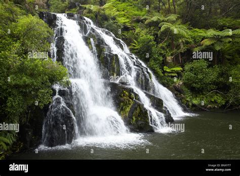 Owharoa Falls Karangahake Gorge Near Paeroa Waikato North Island