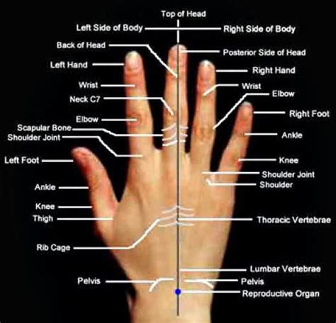 Accupressure Points In Your Hand Work With These For The Issues You