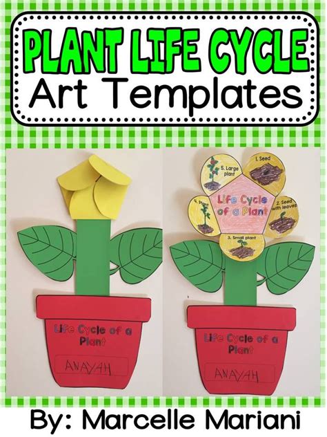 Plant Life Cycle Art Activity Template Life Cycles Kindergarten