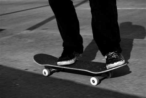 Skateboard Repels Cougar Attack Q13 Fox News