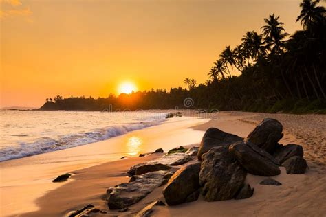 Romantic Sunset On A Tropical Beach With Palm Trees Stock Image Image