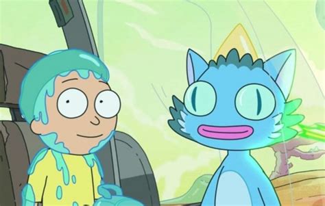 Rick And Morty Secret Of The Talking Cat Is Finally Out Otakukart