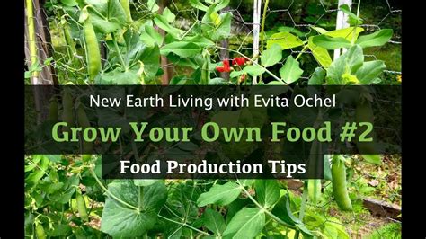 Grow Your Own Food 2 — Food Production Gardening Tips Nel Ep 14 Youtube