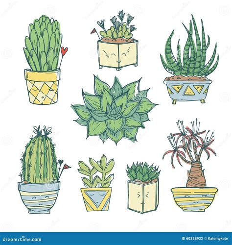 Hand Drawn Illustration Set Of Cute Cactus And Succulents Stock
