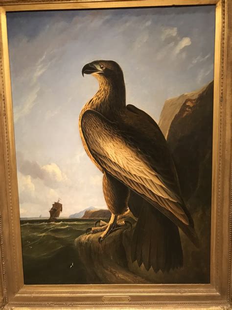 National Portrait Gallery Washingtons Eagle By John James Audubon