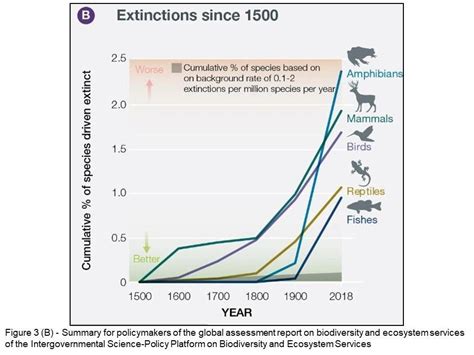 Extinction Miscalculation The Hump Of The Camel