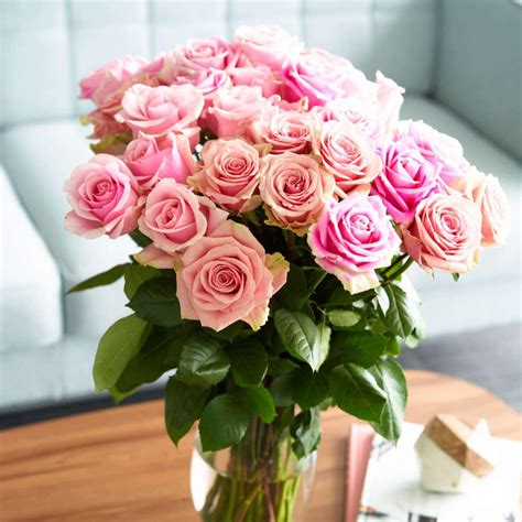 buy-pink-bi-color-eyecatcher-roses-rose-farmers