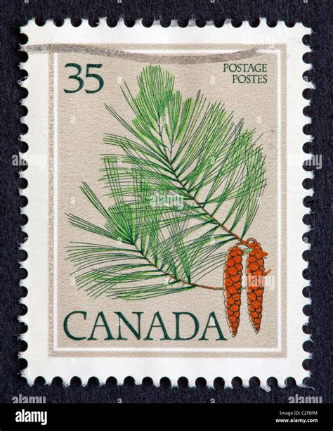 Canadian Postage Stamp Stock Photo Alamy