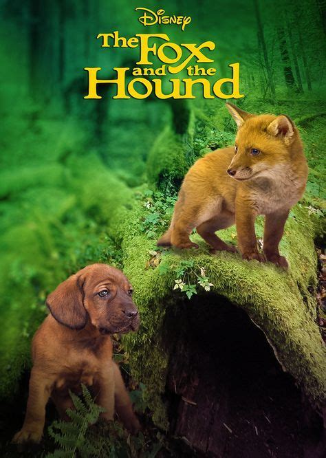 The Fox And The Hound Live Action Film Movie Ideas Wiki Fandom