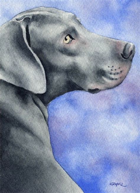 Weimaraner Dog Art Print Signed By Artist Dj By K9artgallery Watercolor