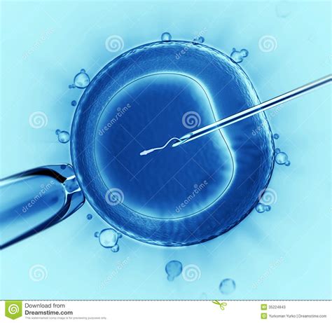 Inyección de la esperma stock de ilustración Ilustración de nucleico
