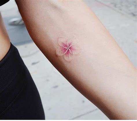Move the container to a location with 6 to 8 hours of sunlight each day. Pin by Melissa McClintock on tattoo | Plumeria tattoo ...