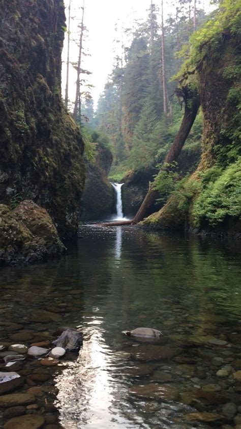 10 Amazing Waterfall Hikes In Oregon Punchbowl Falls Waterfall Hikes
