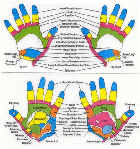 Hands Reflexology Points Reflexology Chart Pressure Points Acupressure