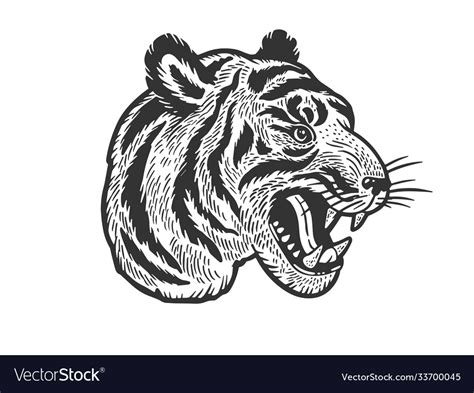 Tiger Head Tattoo Sketch Royalty Free Vector Image