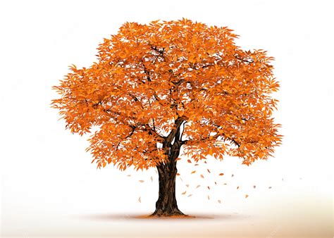 Premium Vector Autumn Tree Realistic Trees Isolated On White