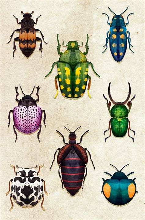 Beetles On Student Show Beetle Art Insect Art Insect Art Projects
