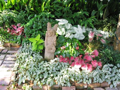 Remember the shade garden design basics. Colorful Garden Plan for Partial Shade between sunny and ...