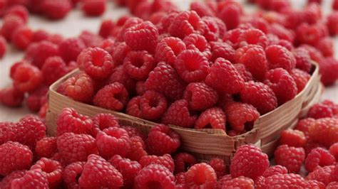 But all berries have high sugar content, and raspberries are also acidic. Can Dogs Eat Cranberries, Raspberries, Blueberries And Blackberries?