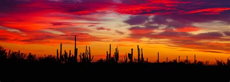 Download Wallpaper 5608x2018 Cacti Sunset Silhouettes Arizona Hd