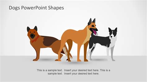 Domestic Pets Powerpoint Shapes Slidemodel
