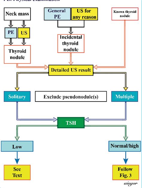 Figure 2 From Management Of Thyroid Nodules Semantic Scholar