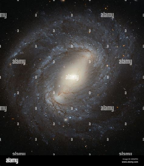 Ngc 2608 Galaxia Atlas Of Peculiar Galaxies Wikiwand Barred Spiral