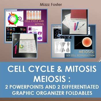 Cell Cycle Mitosis Meiosis PowerPoints Guided Notes Printable
