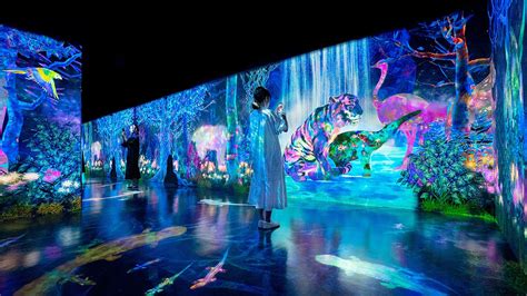 Teamlabs New Digital Exhibition Makes The Immersive Interactive Too