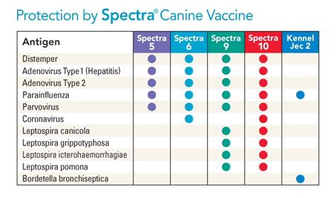 Submitted 2 years ago by 2amimawake. Canine Spectra 5 - single dose vaccine