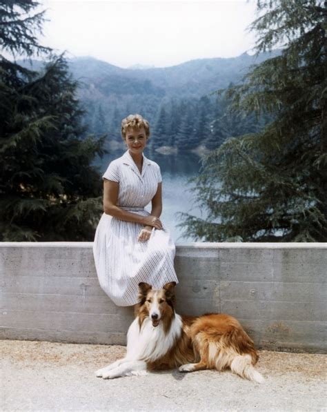 102 Best Lassie T V Series From 1954 1974 And Movies Images On Pinterest