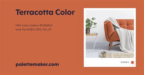 Terracotta Color Hex Cb6843 Meaning And Live Previews Palettemaker