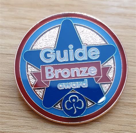 Bronze Award Metal Badge All Sections