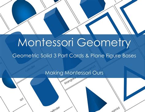 Montessori Geometric Solid 3 Part Cards And Plane Figure Cards Etsy