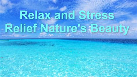 Relax And Stress Relief With Natures Beauty Youtube